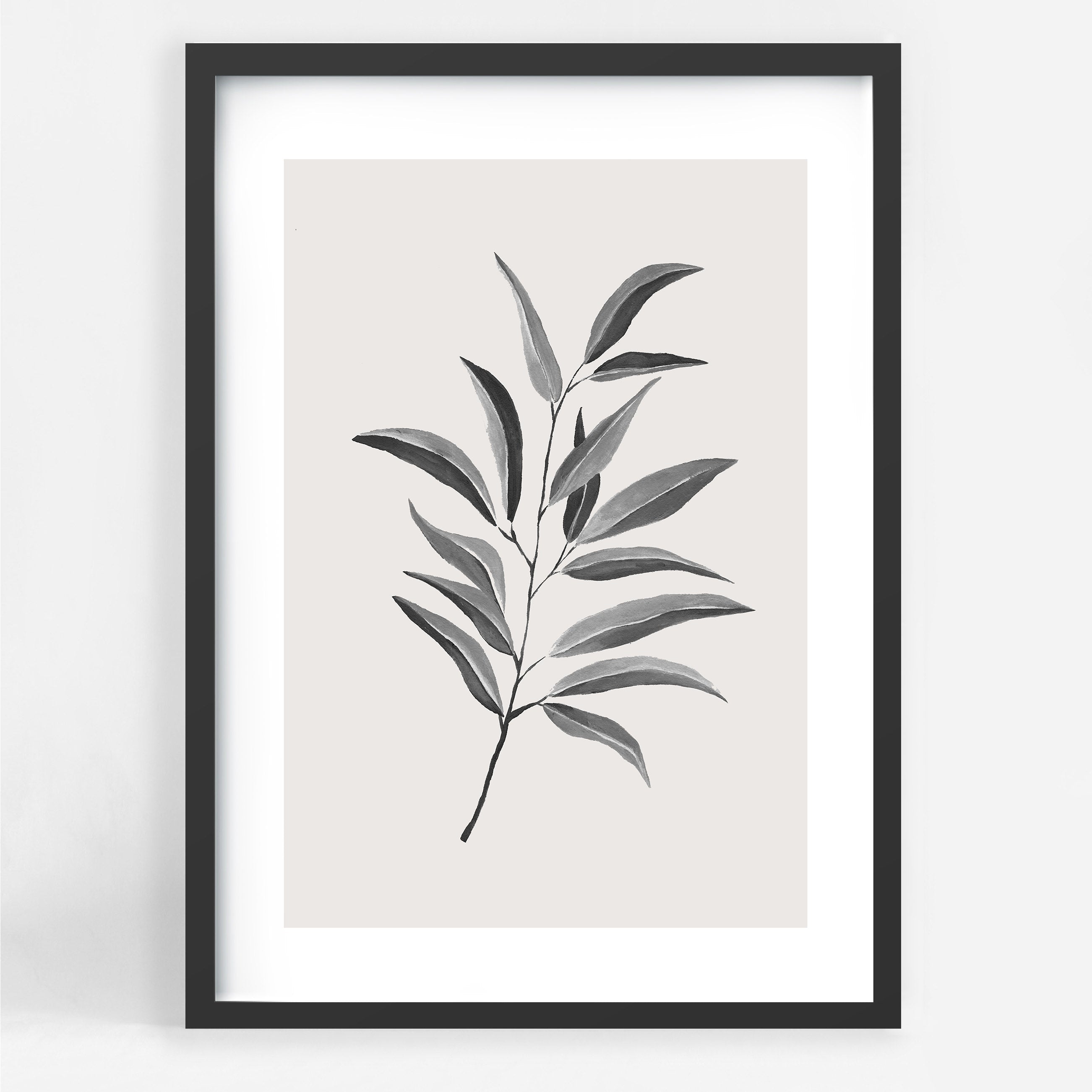 Olive Twig