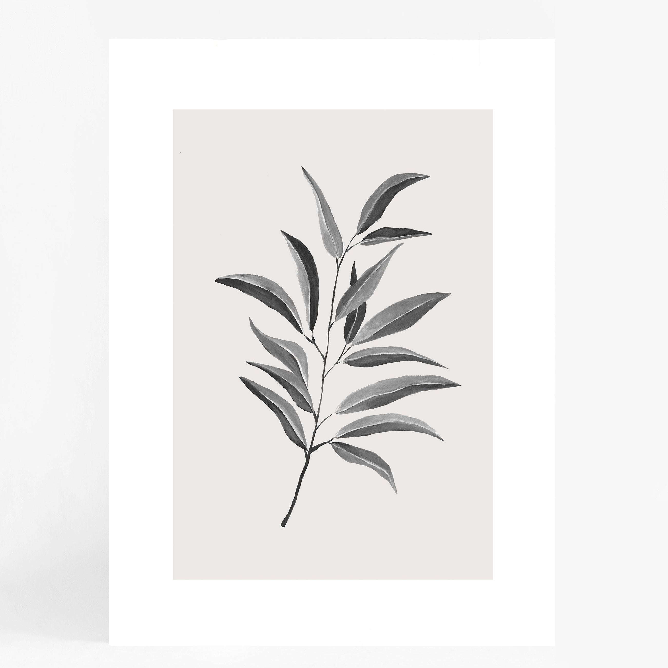 Olive Twig