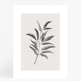 Wall 12