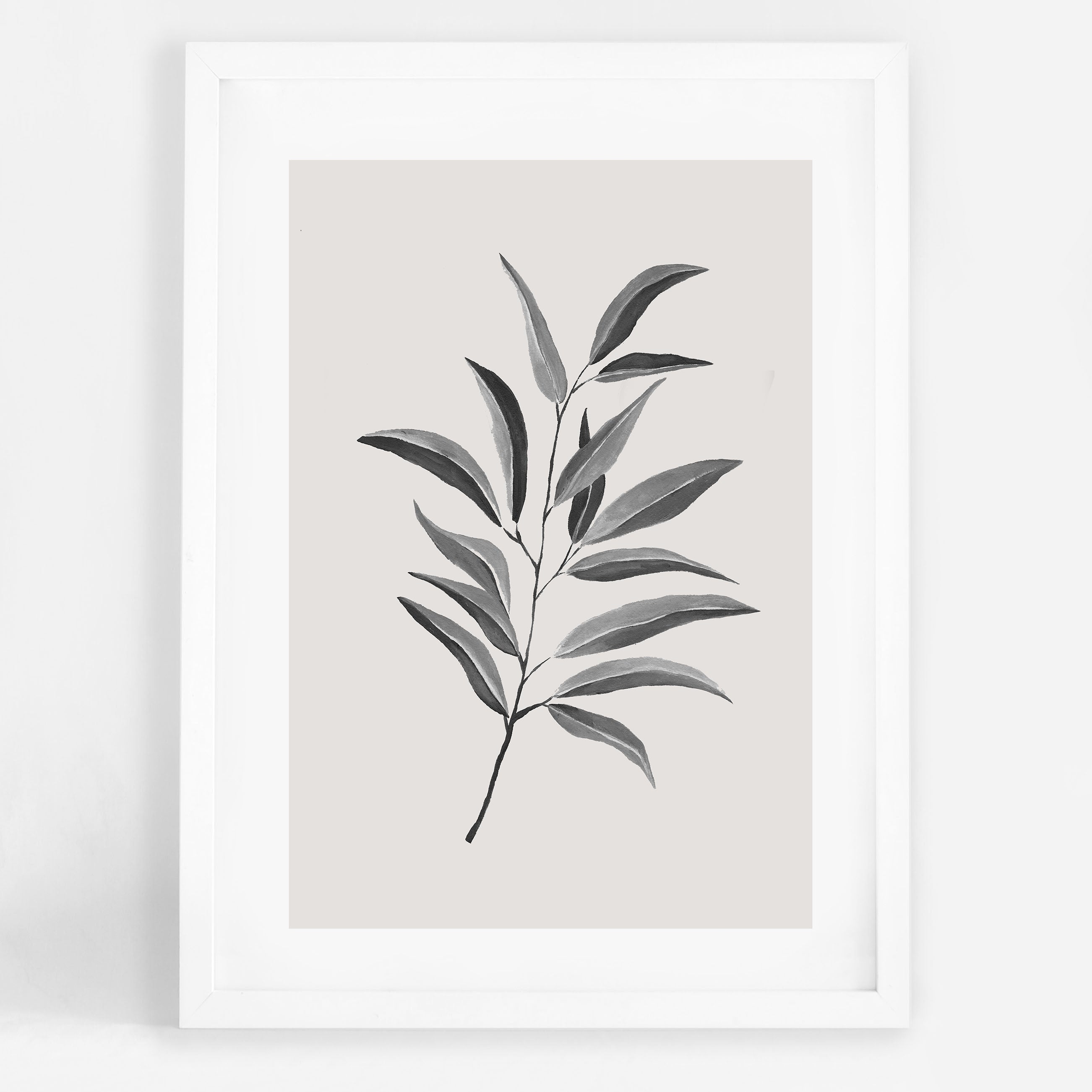 Olive Twig