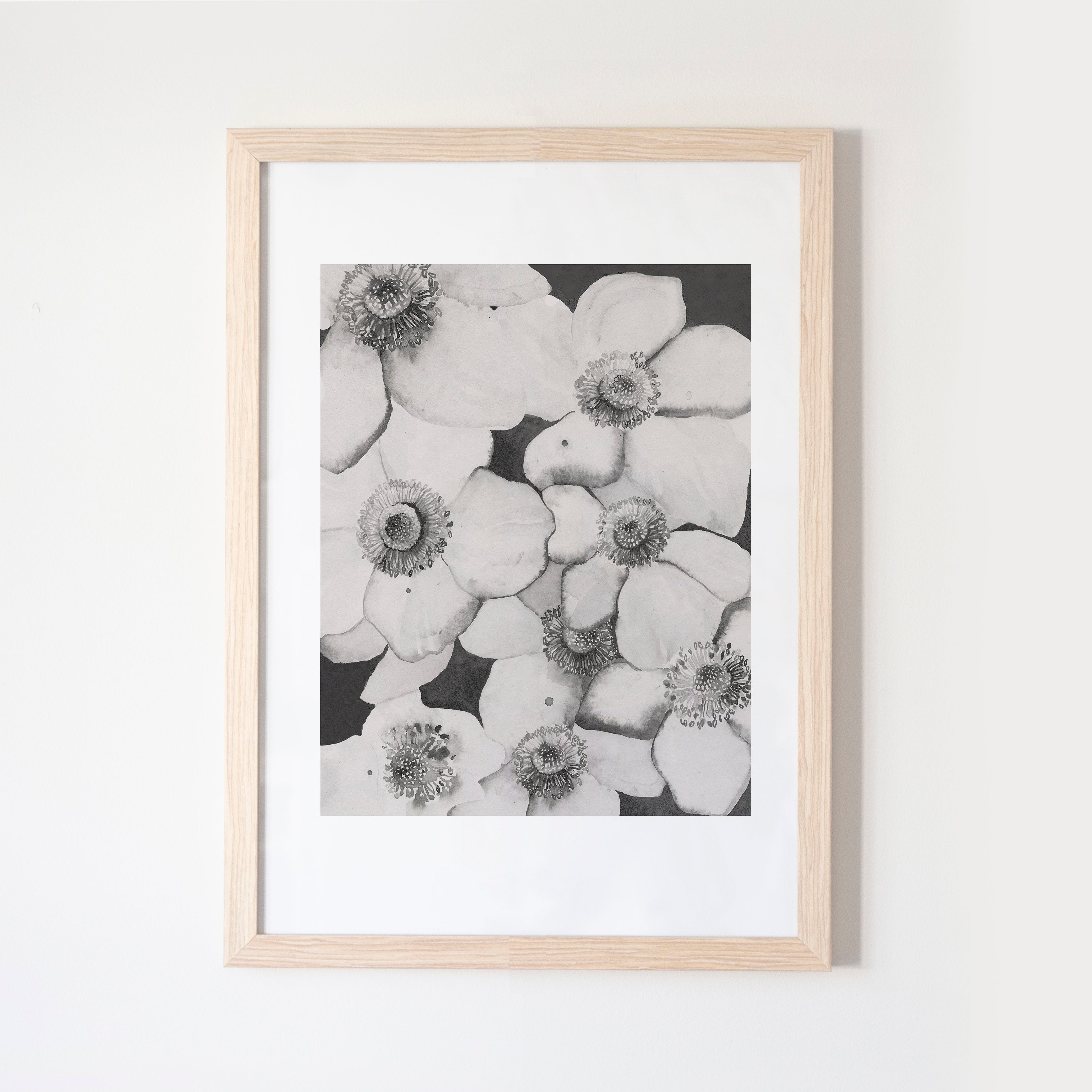 Poppy Flowers