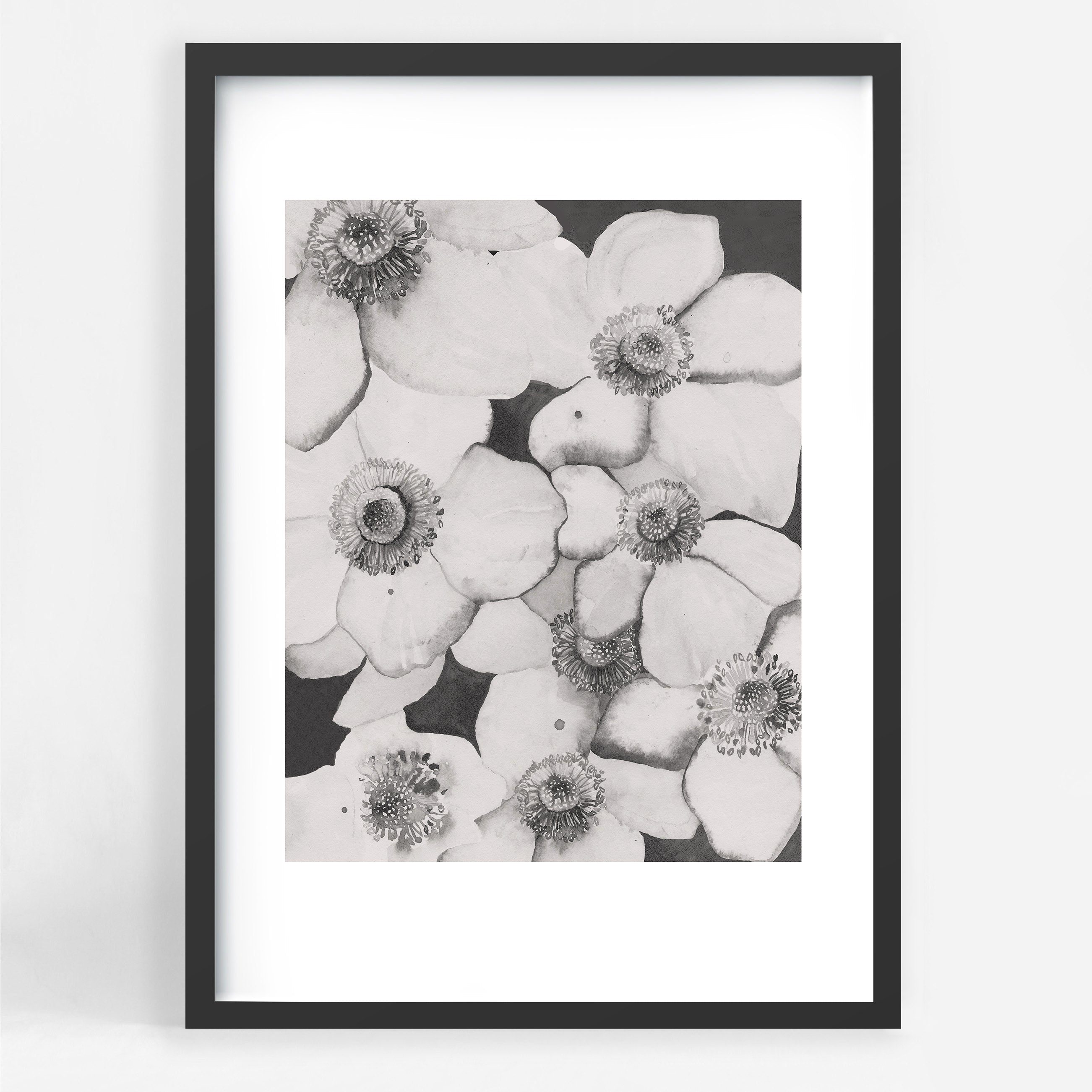 Poppy Flowers