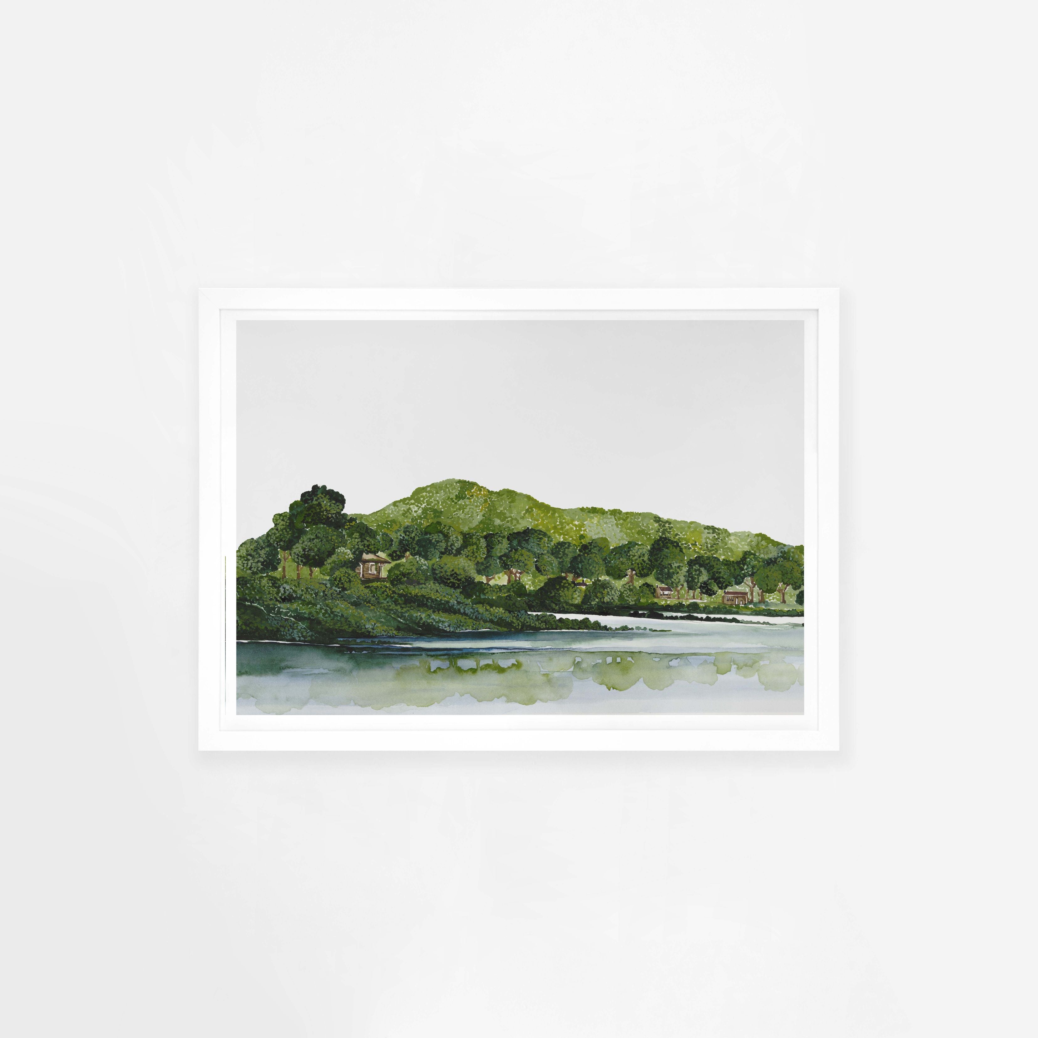 Rangitoto Landscape