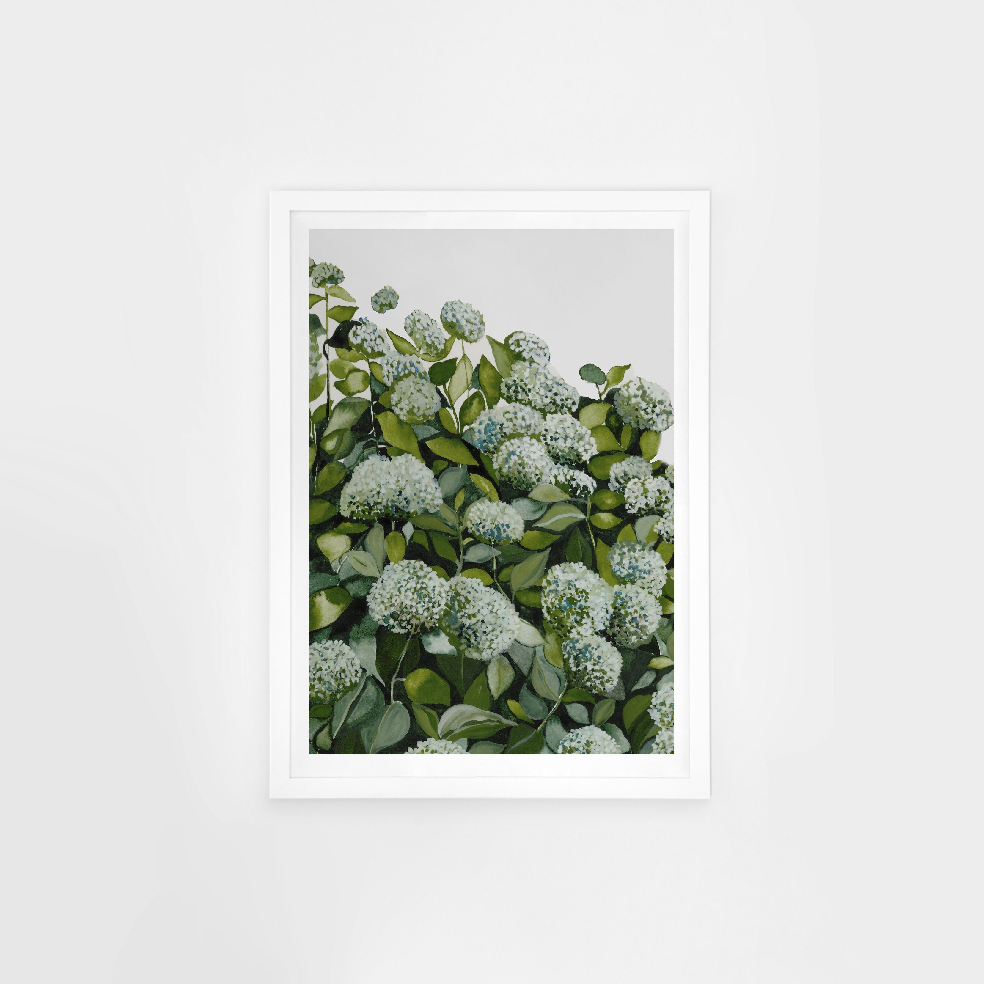 Sage Hydrangea I