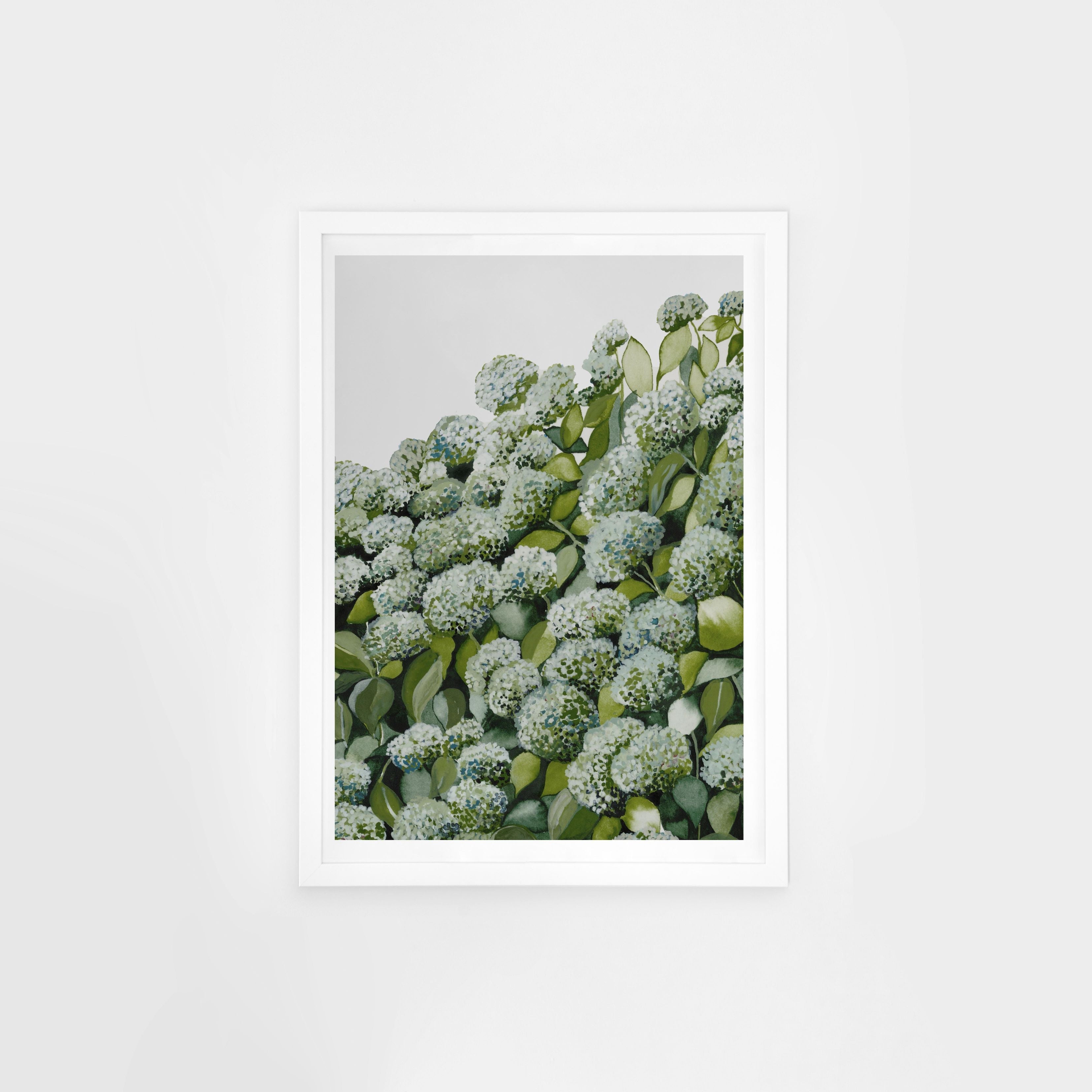 Sage Hydrangea II