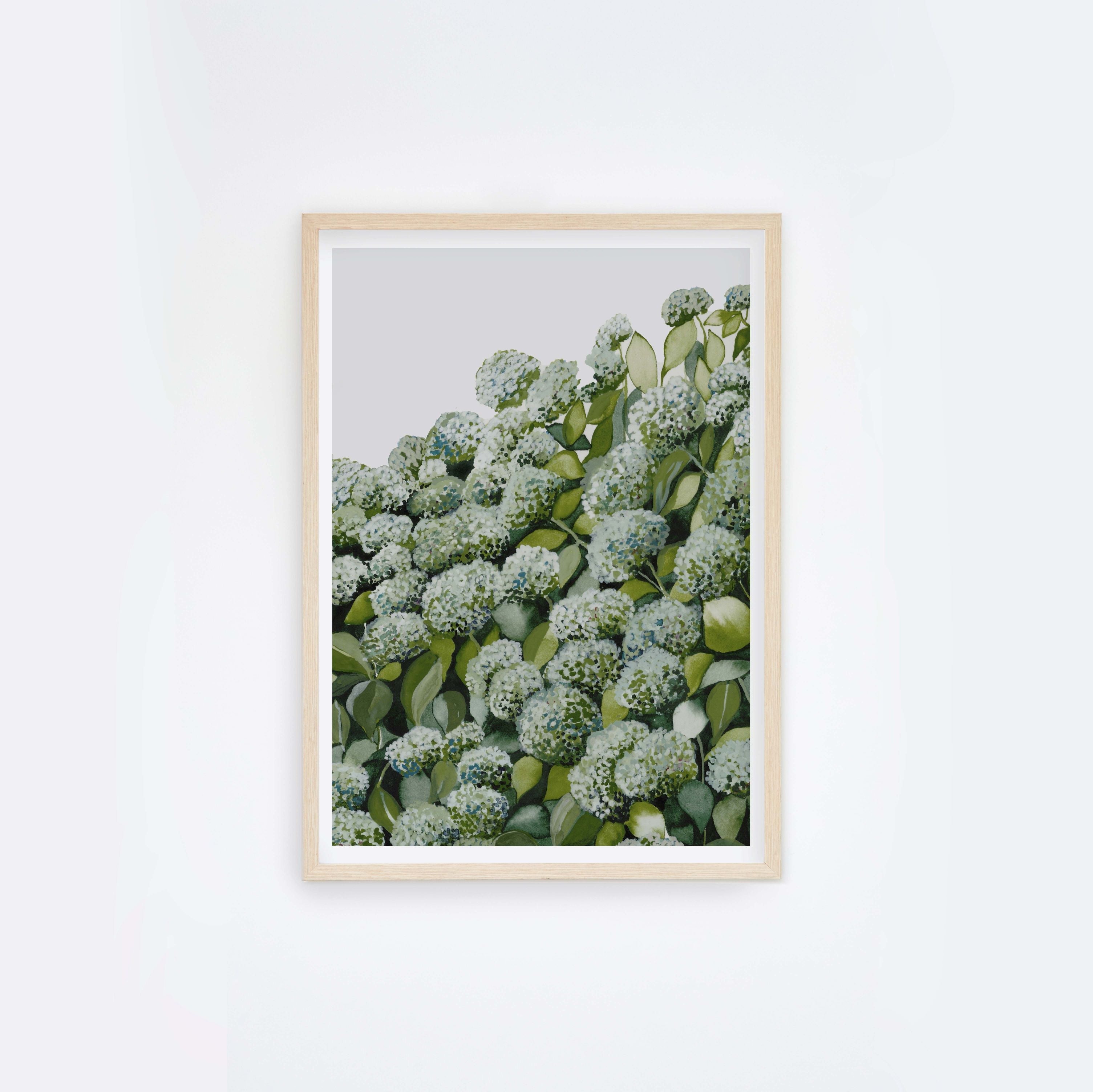 Sage Hydrangea II