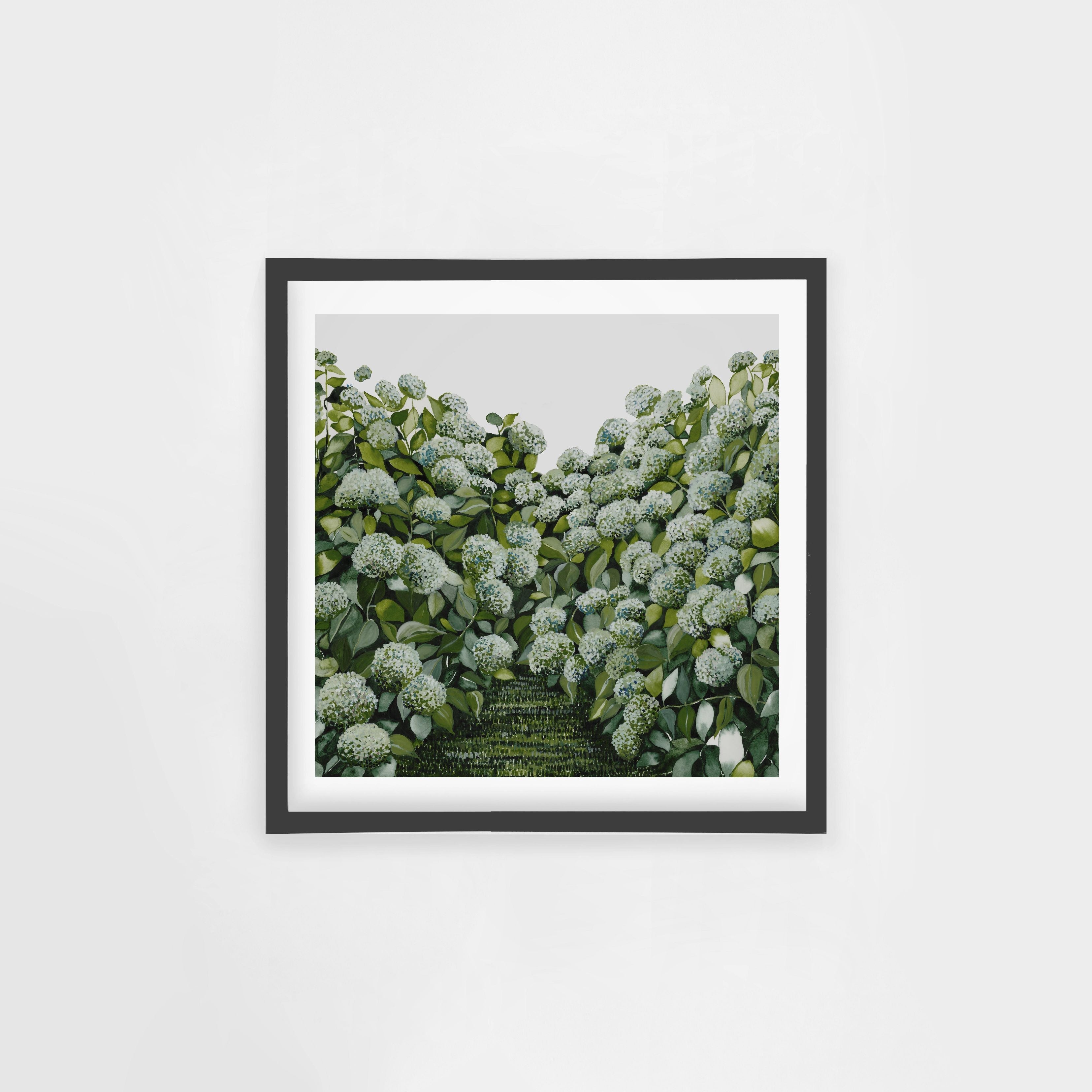 Sage Hydrangea Square