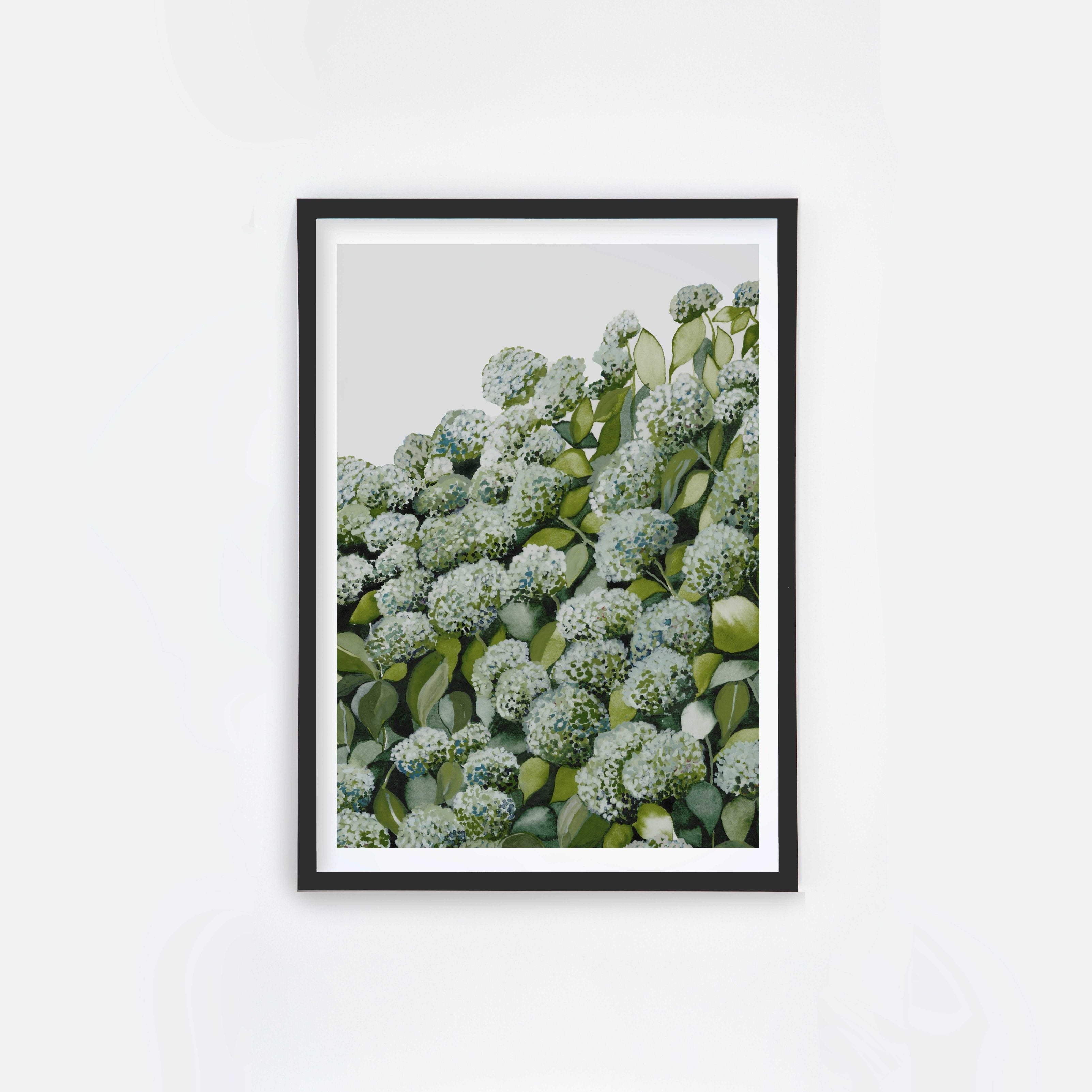 Sage Hydrangea II