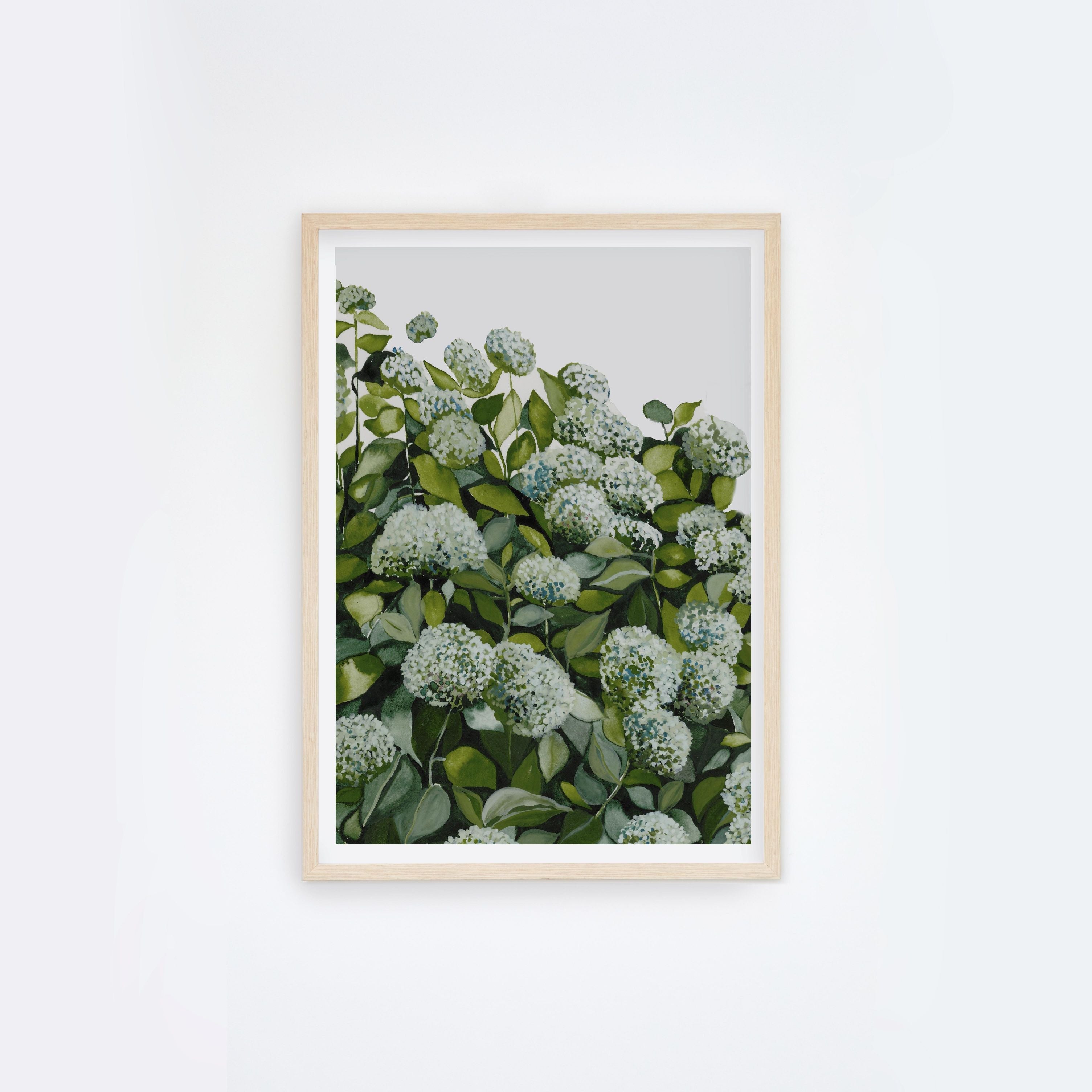 Sage Hydrangea I