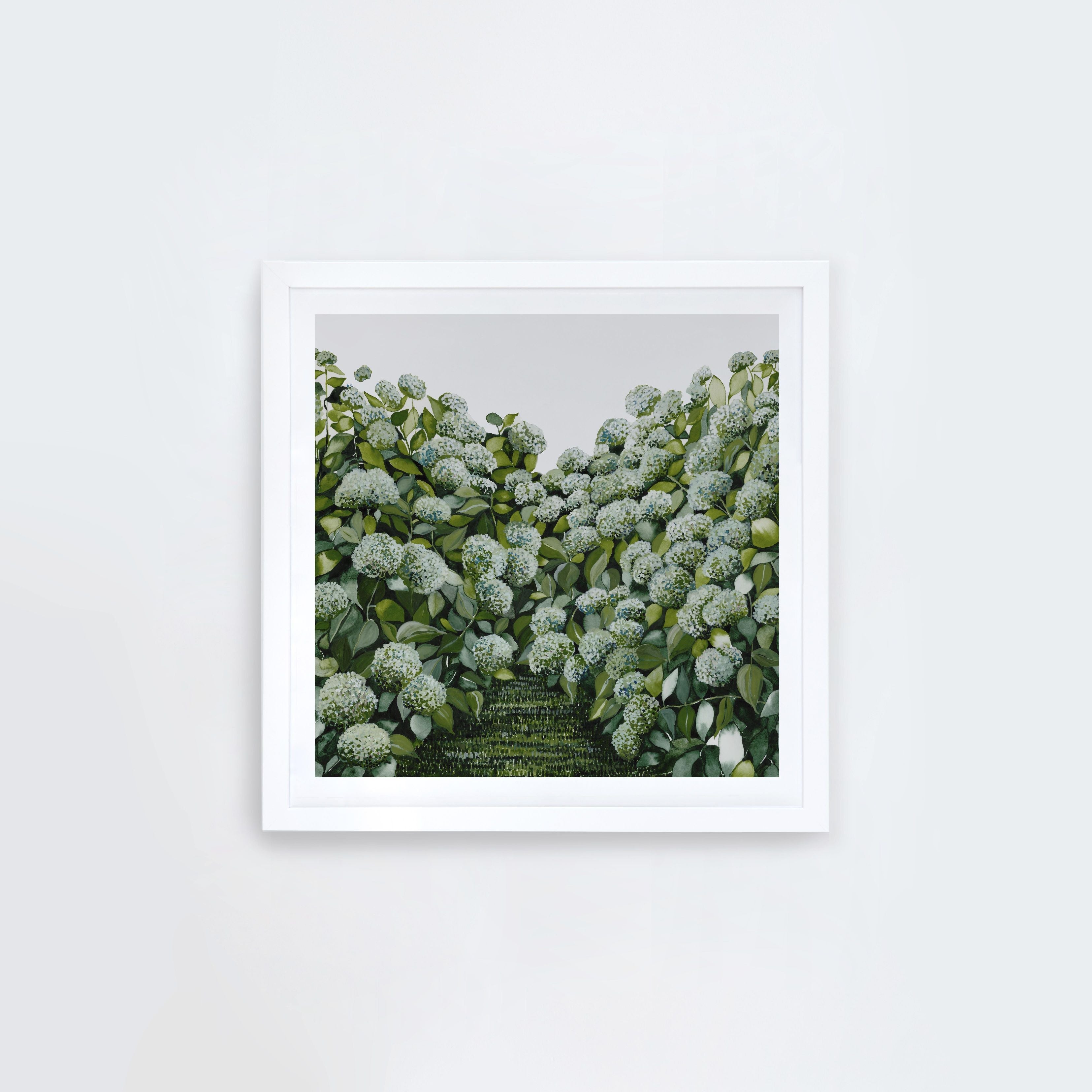 Sage Hydrangea Square