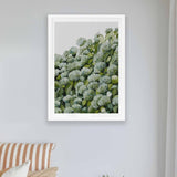 Sage Hydrangea II