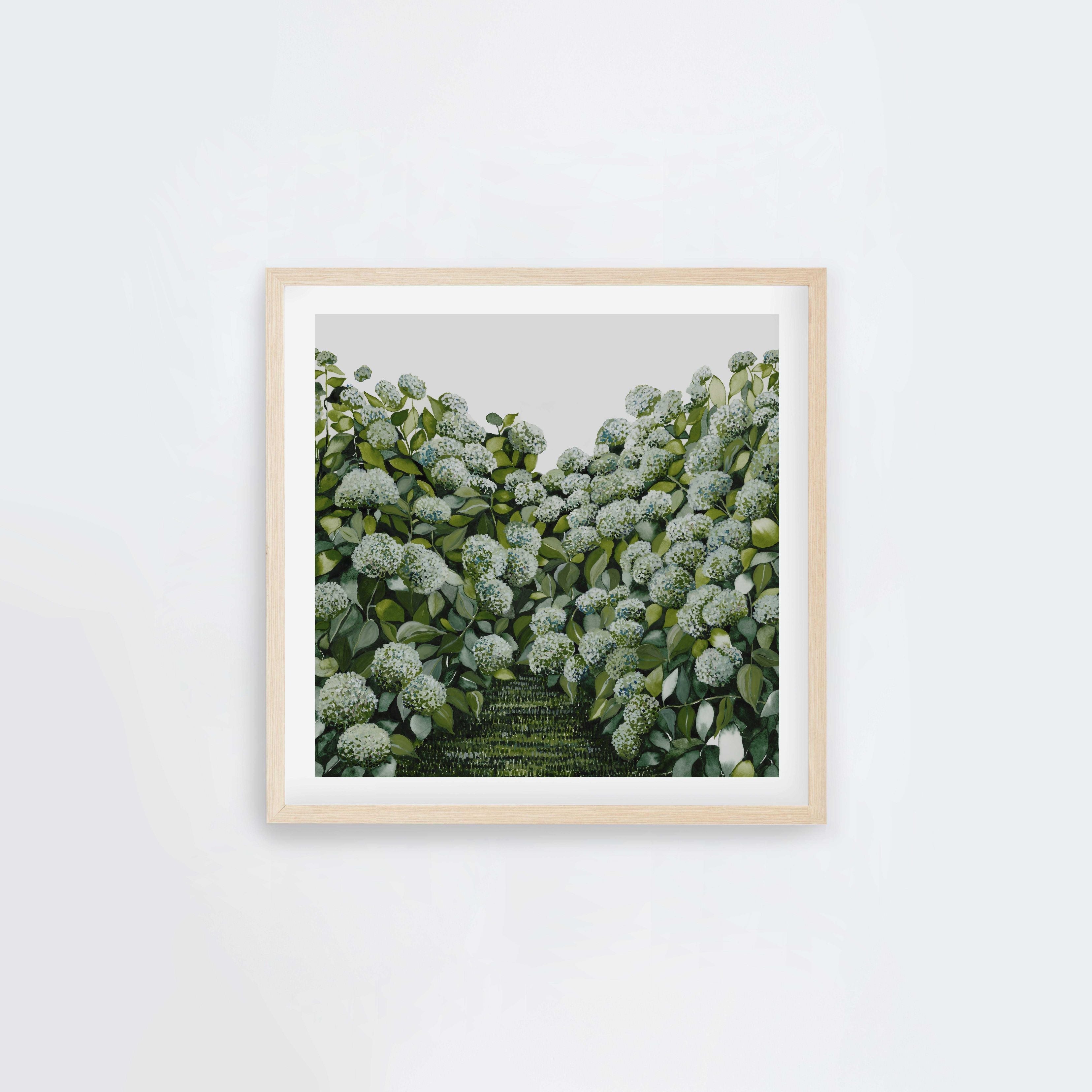 Sage Hydrangea Square