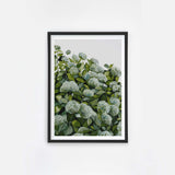 Sage Hydrangea I
