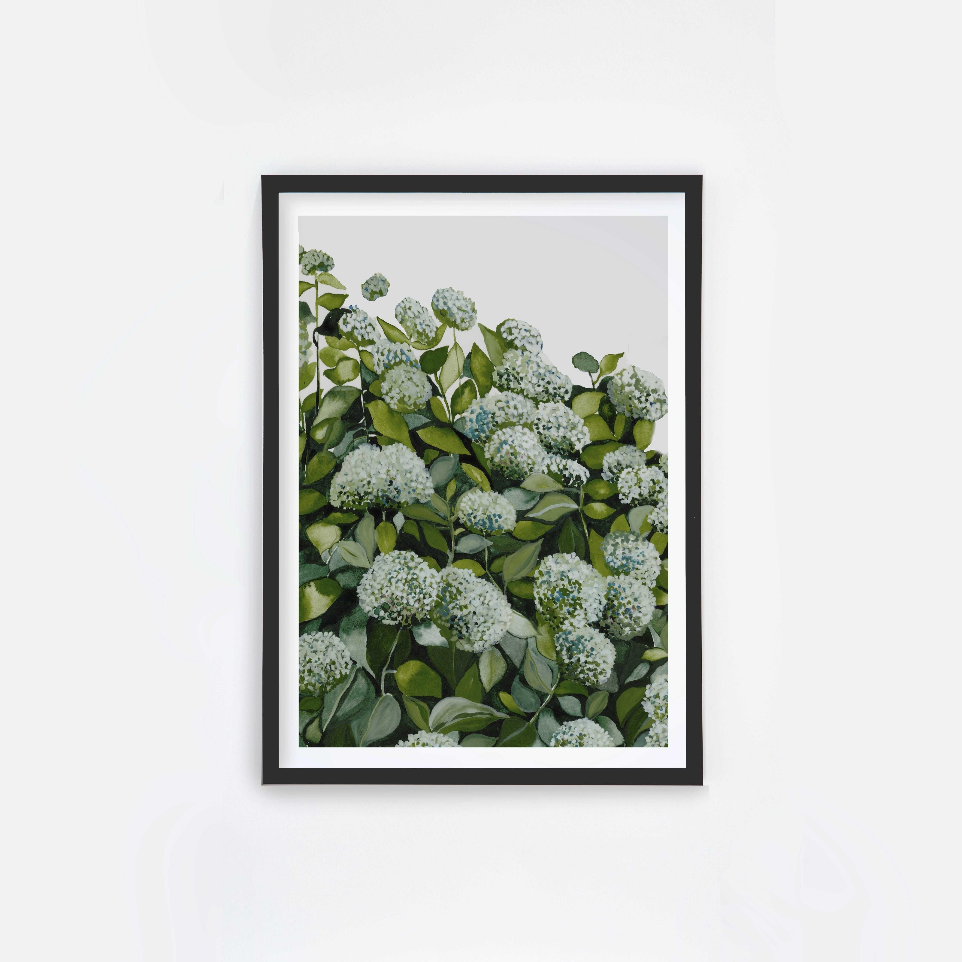 Sage Hydrangea I