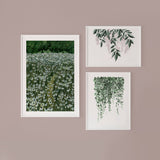 Wall 5