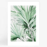 Spike Palm