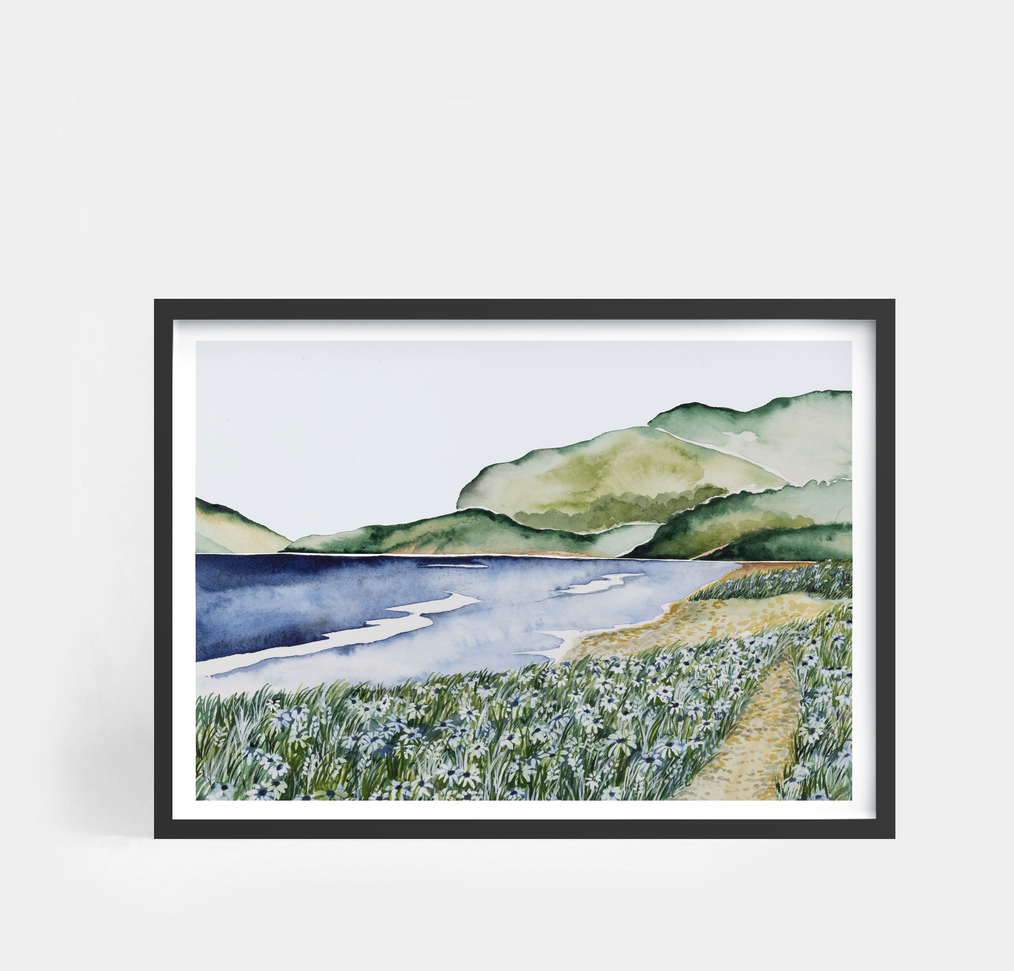 Whangarei heads Landscape