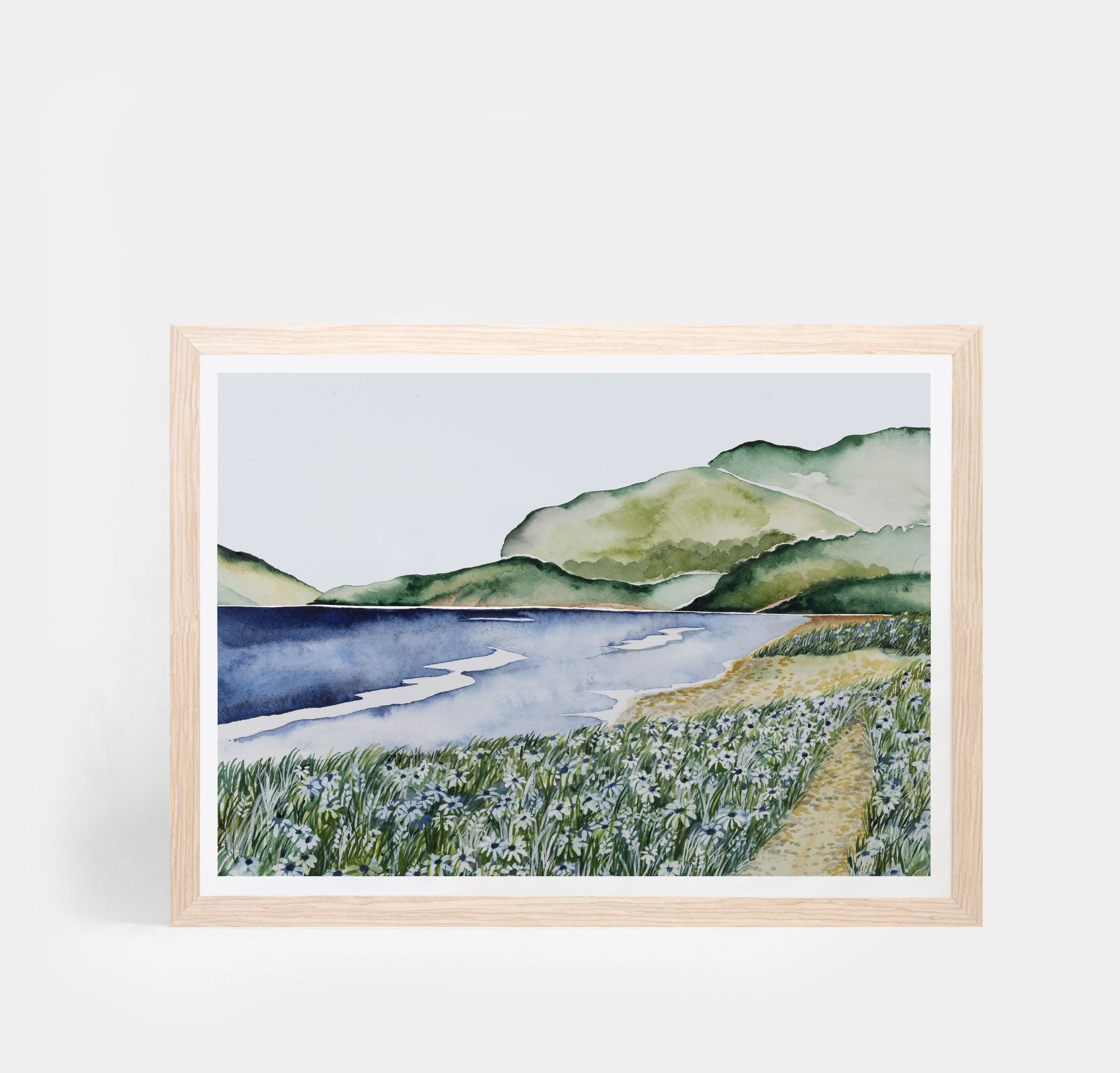 Whangarei heads Landscape