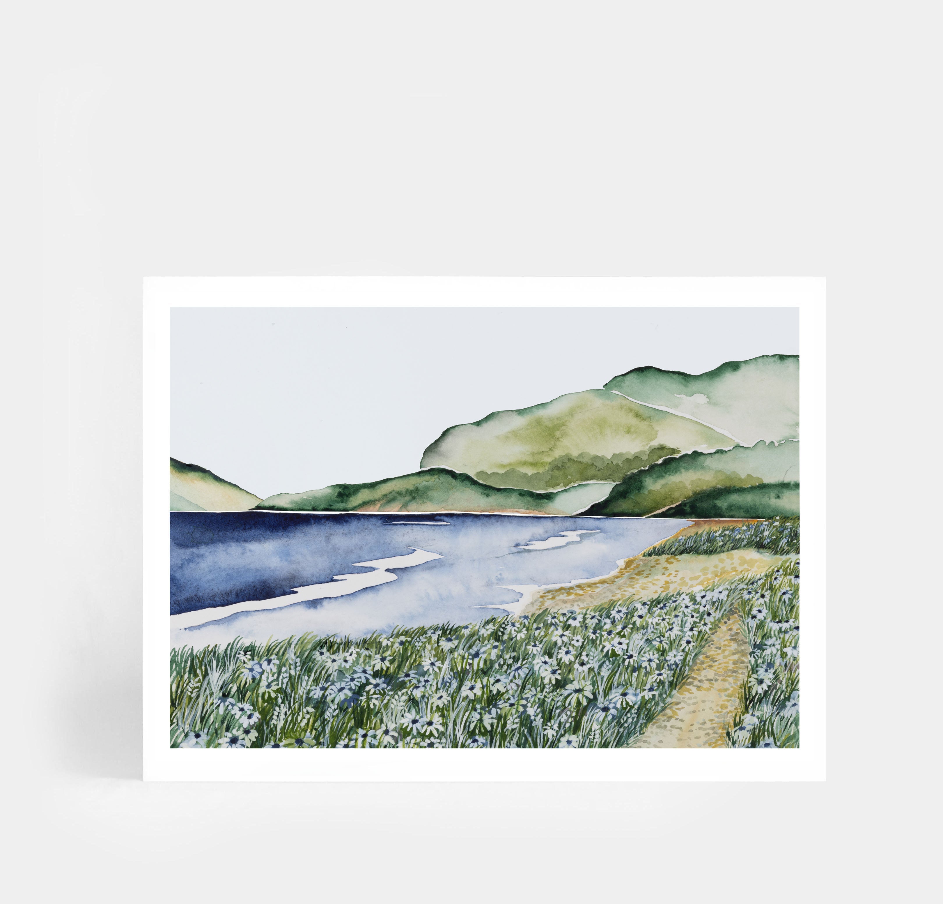 Whangarei heads Landscape
