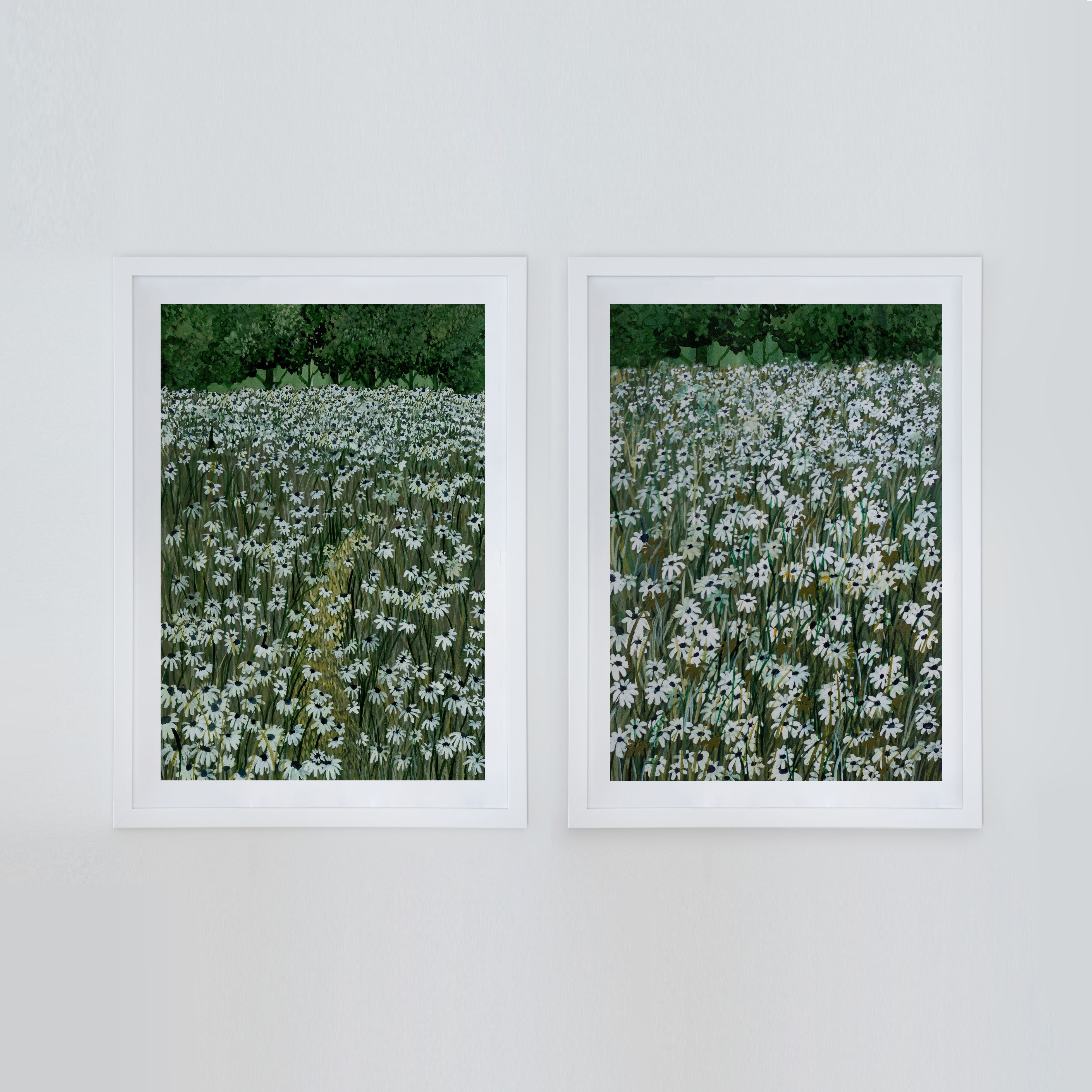 Daisy Meadow Pair