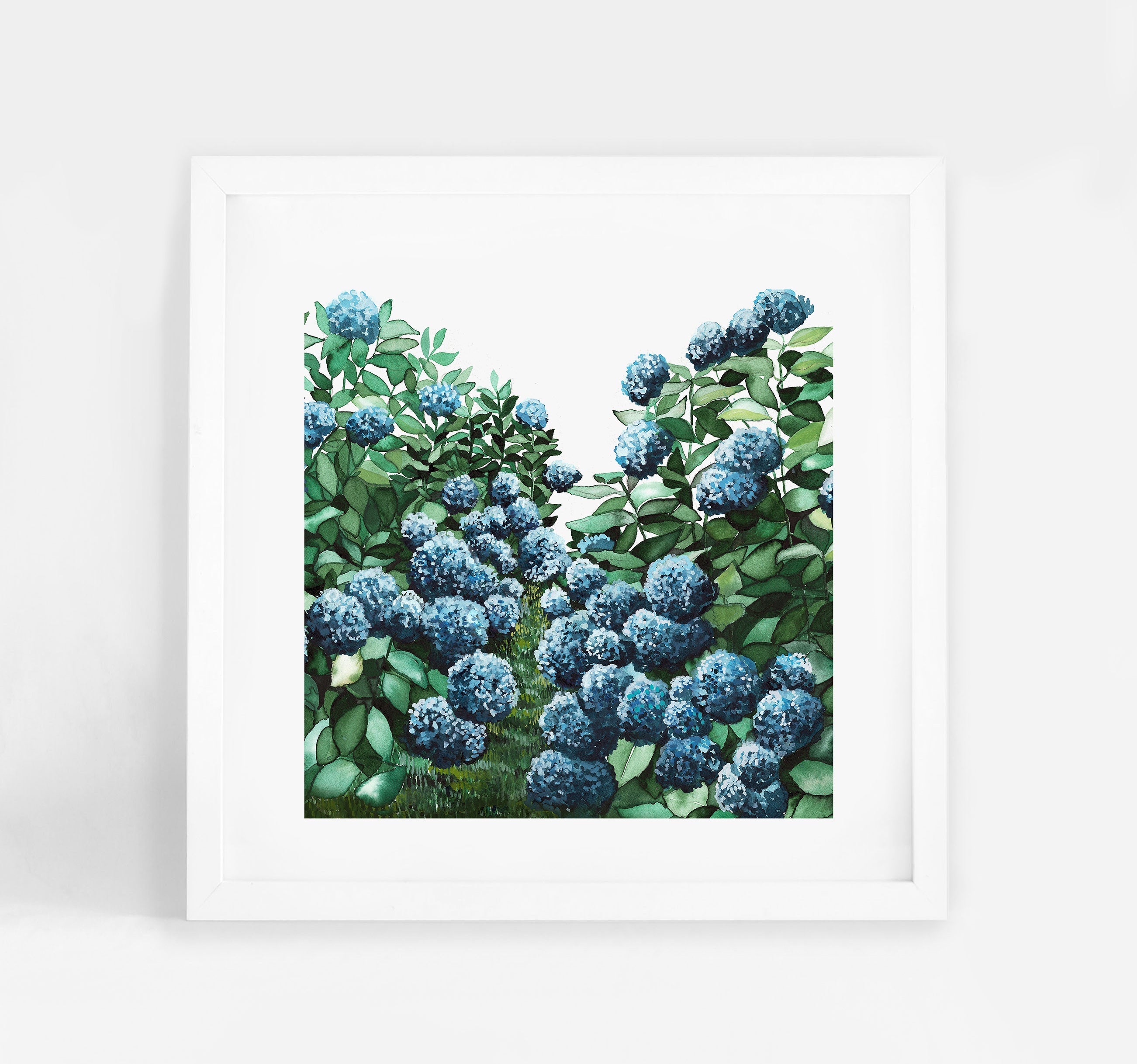 Hydrangea Square